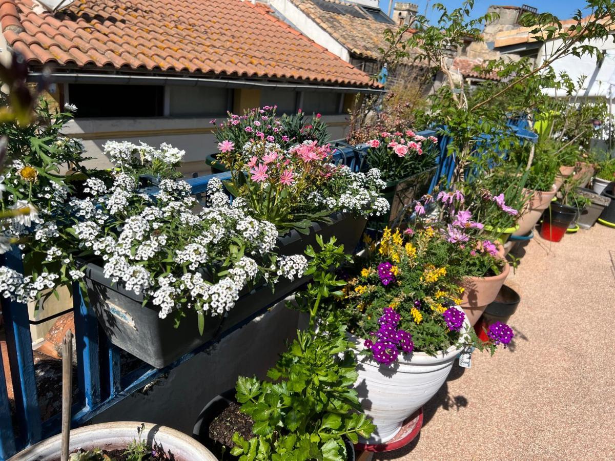 Loft Apartment , La Terrasse Centre Ville D'Arles, Zewnętrze zdjęcie