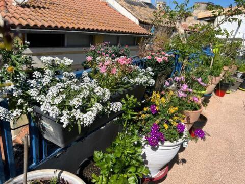 Loft Apartment , La Terrasse Centre Ville D'Arles, Zewnętrze zdjęcie